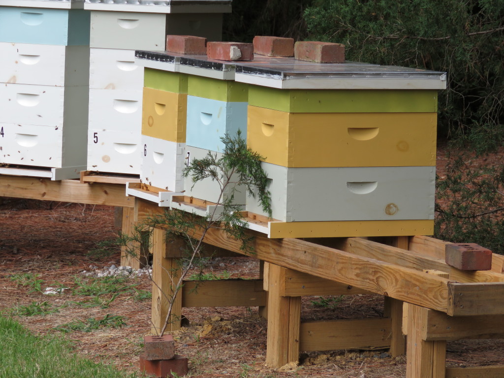 Colored hives