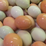 Fox Trot Farm Eggs