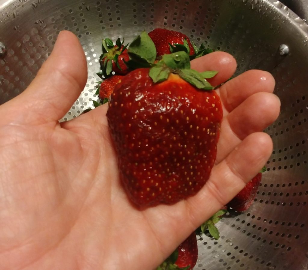 strawberry from the ivy place