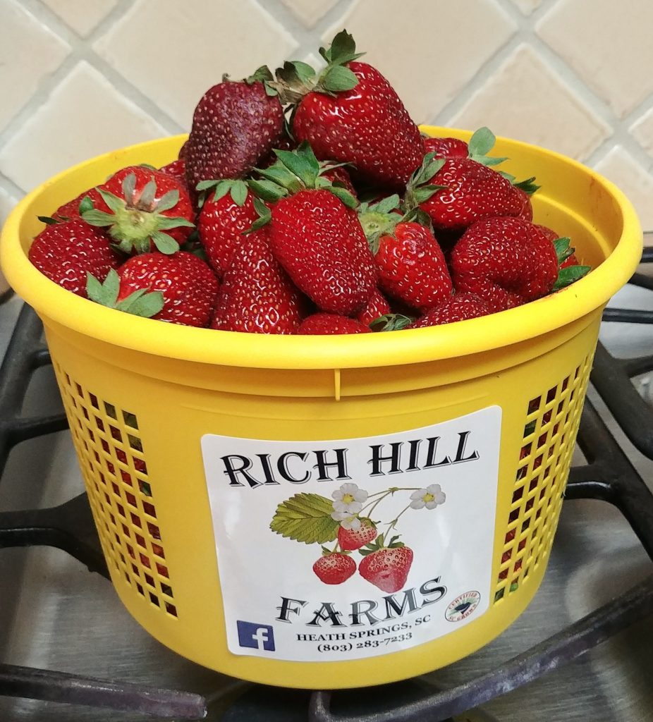bucket of fresh strawberries