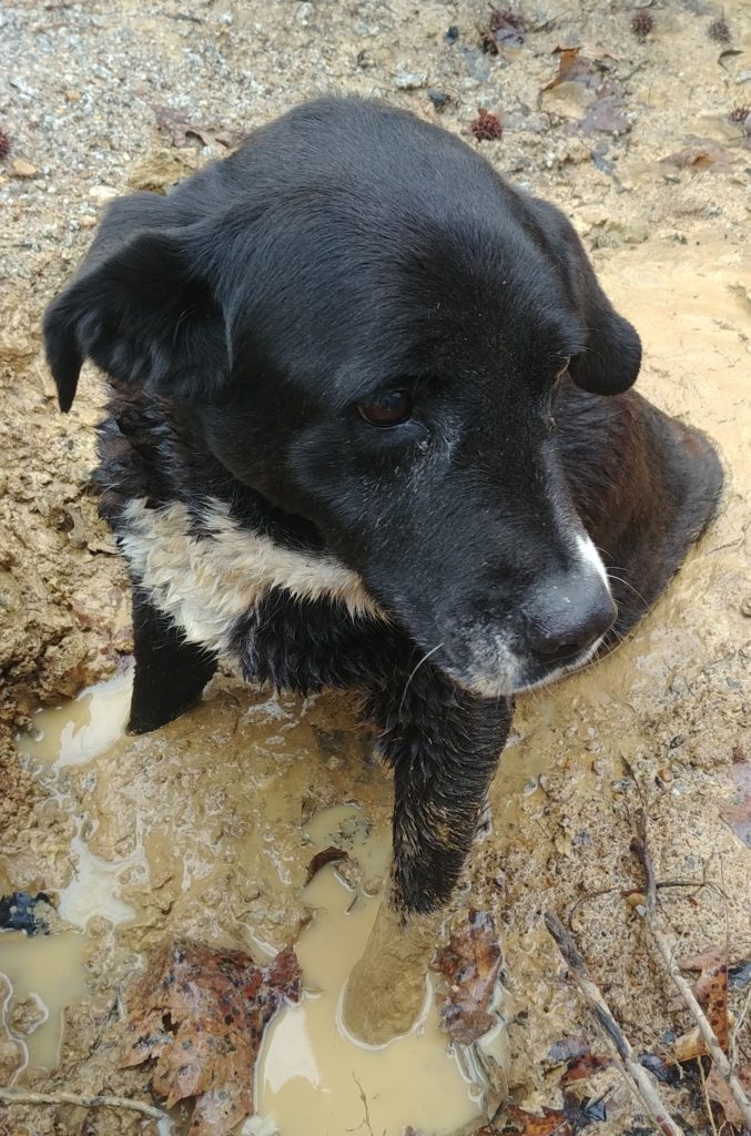 Chloe Stuck in the mud