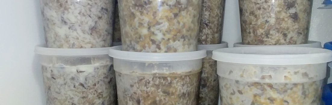 Fox Trot Farm Lamb & Rice dog food in the freezer